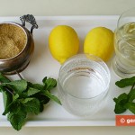 Ингредиенты для коктейля с мартини, лимоном и мятой