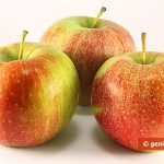Яблоки предохраняют от рака