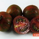 Чёрные помидоры Кумато