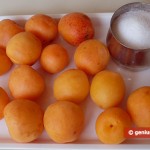 Ингредиенты для абрикосового сорбета