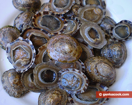 Промытые моллюски пателла