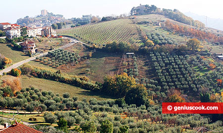 Типичный итальянский пейзаж