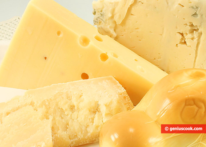 Сыр Понижает Холестерин